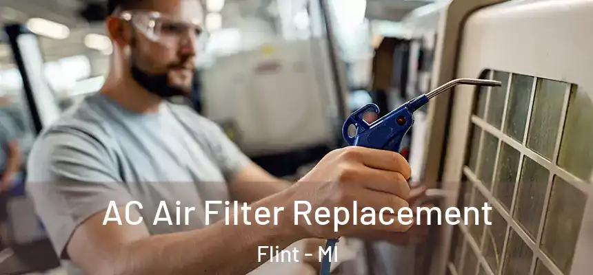 AC Air Filter Replacement Flint - MI