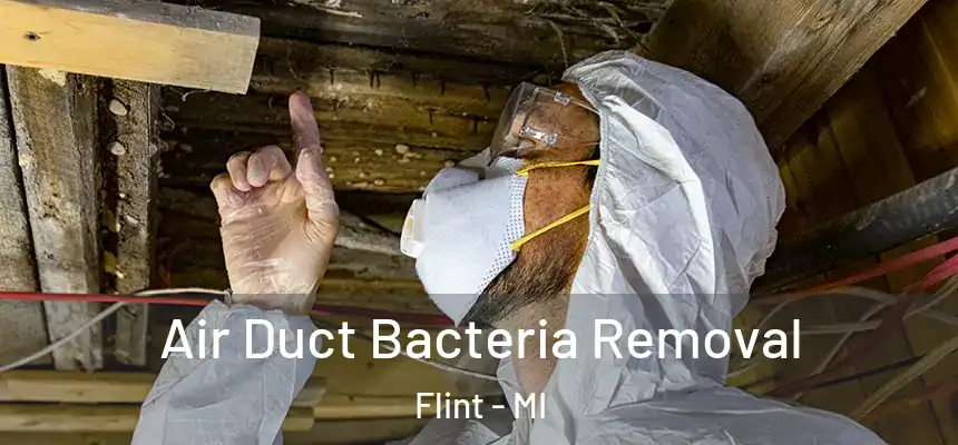  Air Duct Bacteria Removal Flint - MI