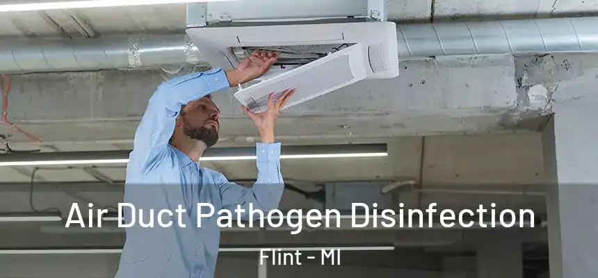 Air Duct Pathogen Disinfection Flint - MI