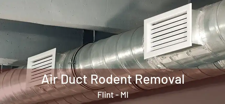 Air Duct Rodent Removal Flint - MI
