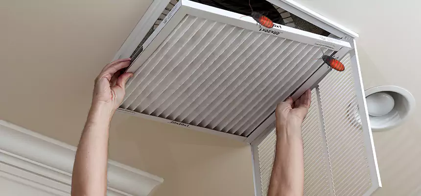 Preventive Cockroach-Proofing for Ducts in Flint