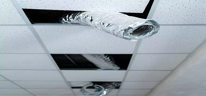 Affordable HVAC Sanitizing After Pest Removal in Flint