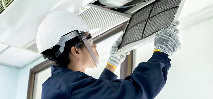 Our Mold & Mildew Removal from Air Ducts Services in Flint, MI