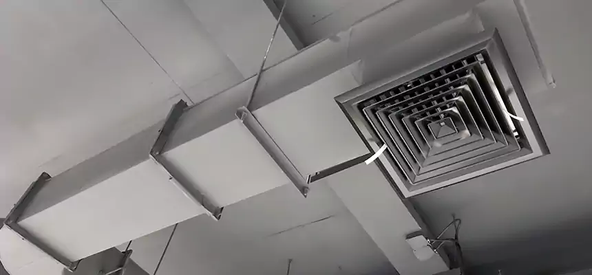 Our Pest Removal From Ducts Services in Flint, MI