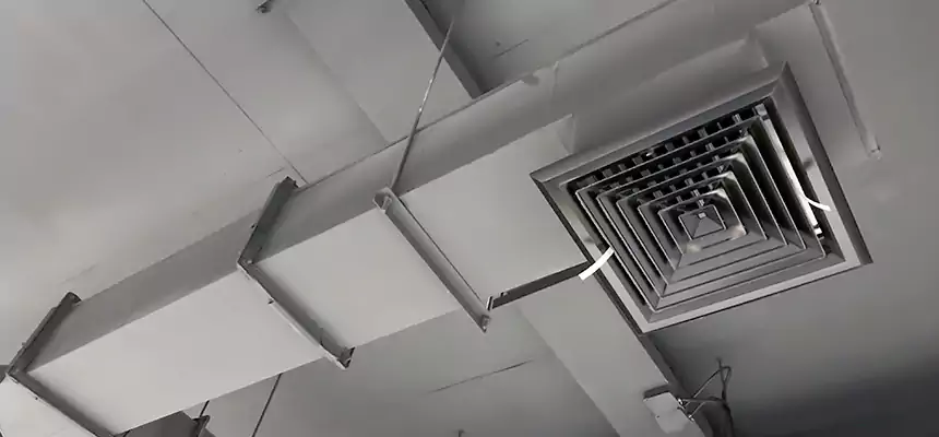 Our Rodent Droppings In Vents Services in Flint, MI