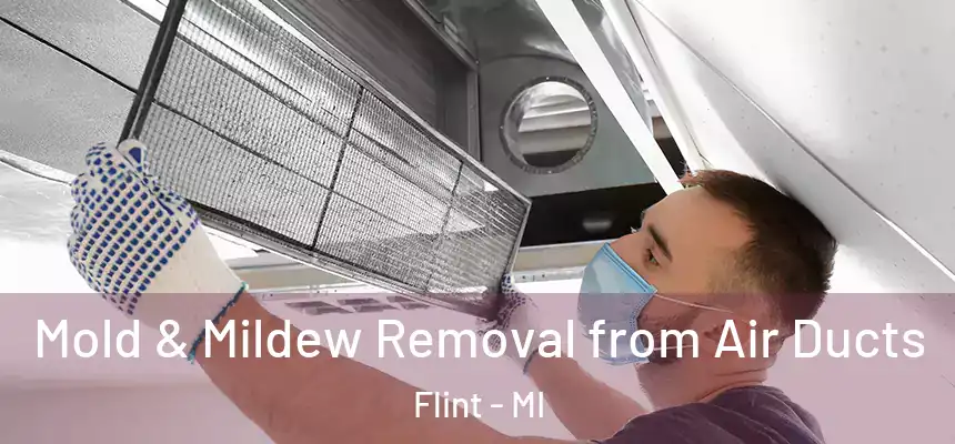  Mold & Mildew Removal from Air Ducts Flint - MI