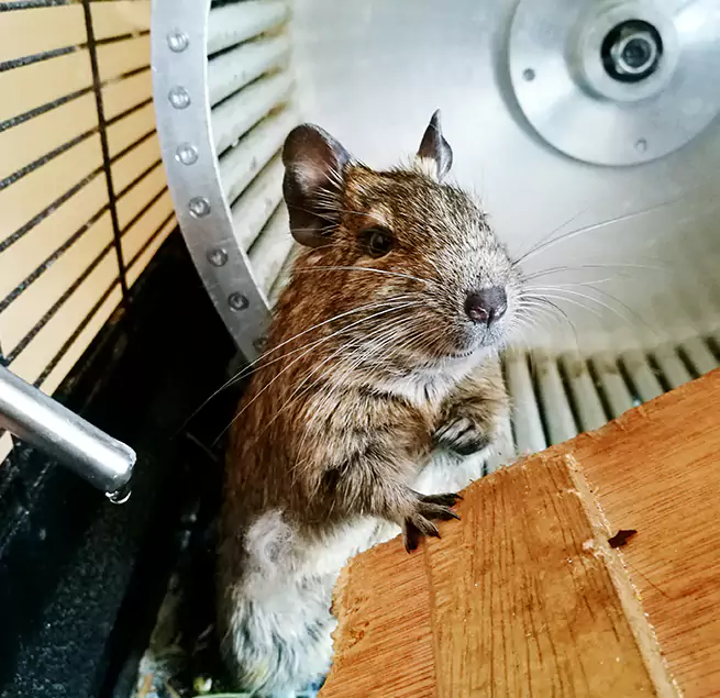 Why Homeowners & Businesses Trust Us Flint, MI